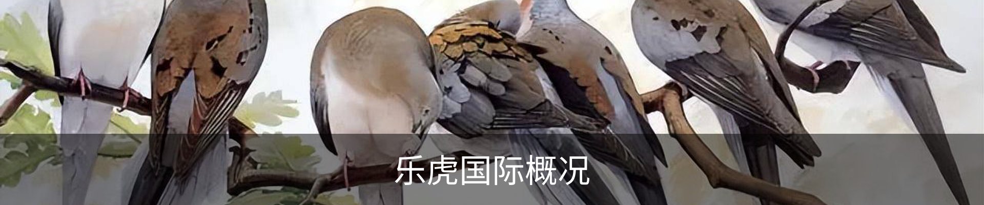 乐虎国际概况